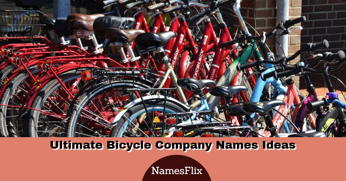 925+ Ultimate Bicycle Company Names Ideas