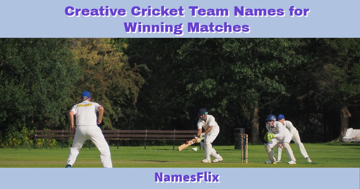 950+ Creative Cricket Team Names for Winning Matches