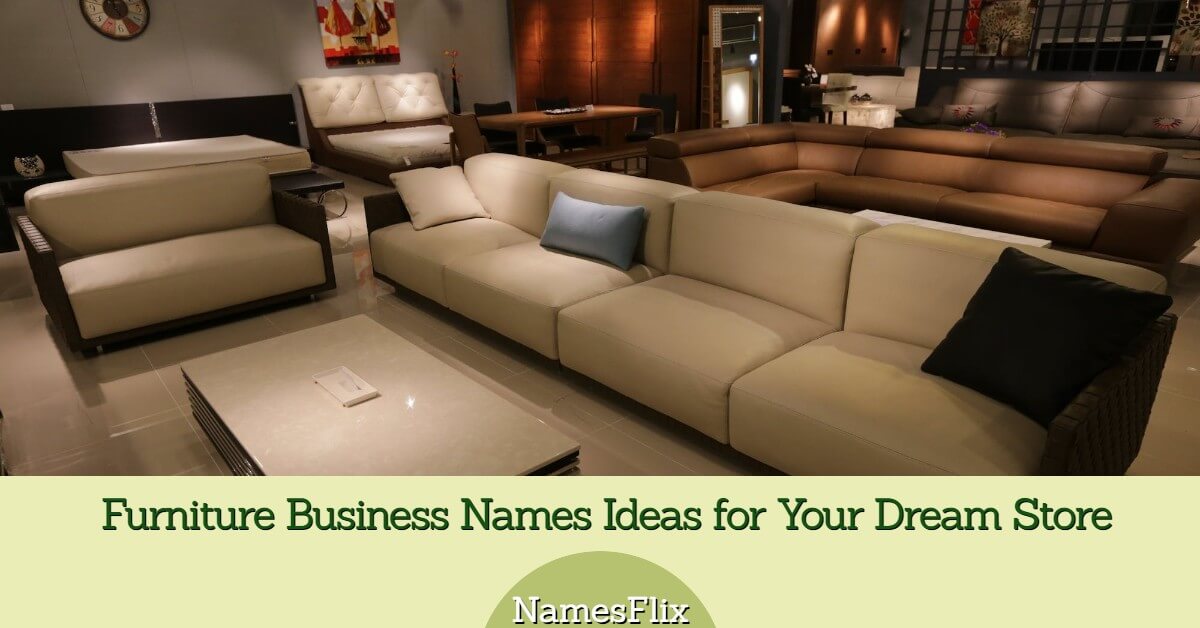 800+ Furniture Business Names Ideas for Your Dream Store
