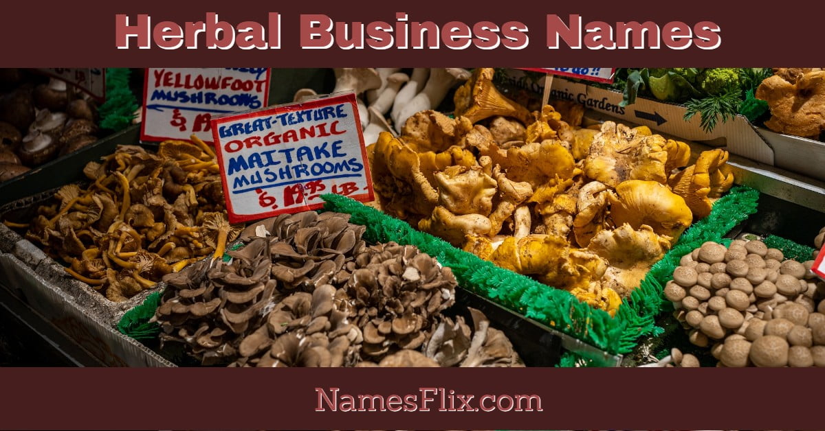 800+ Herbal Business Name Ideas for Nature’s Entrepreneurs