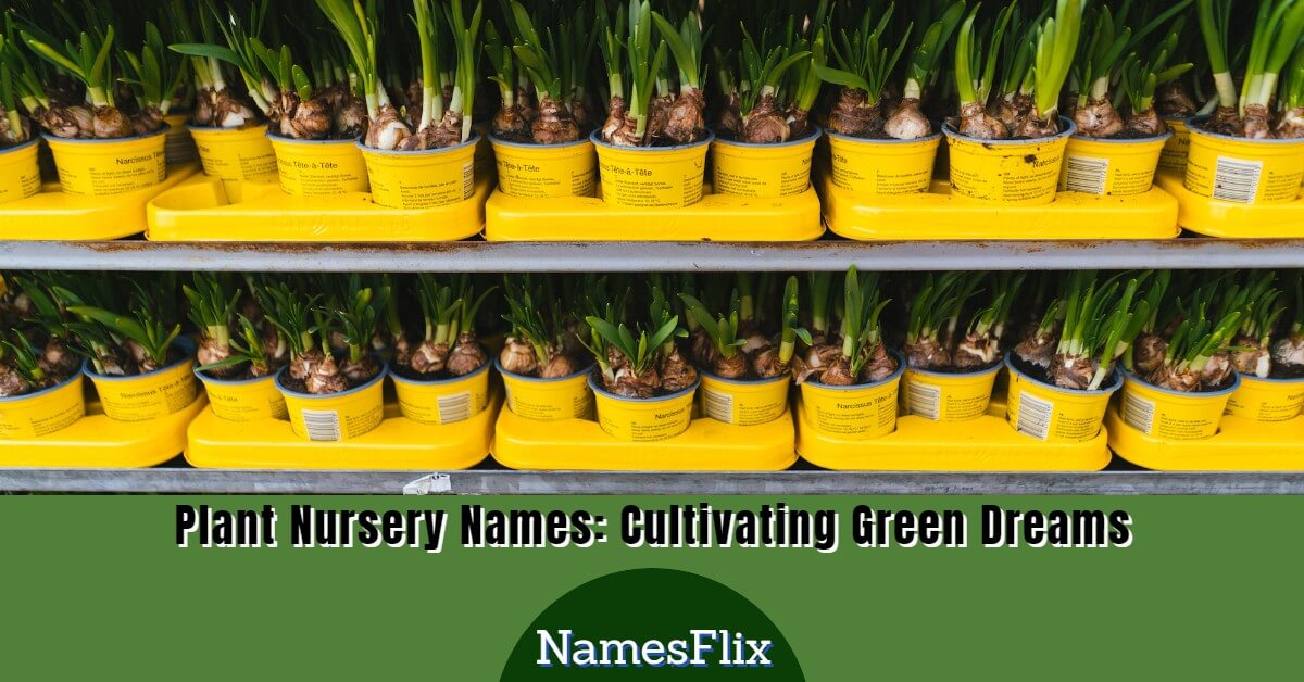 900+ Plant Nursery Names for Cultivating Green Dreams