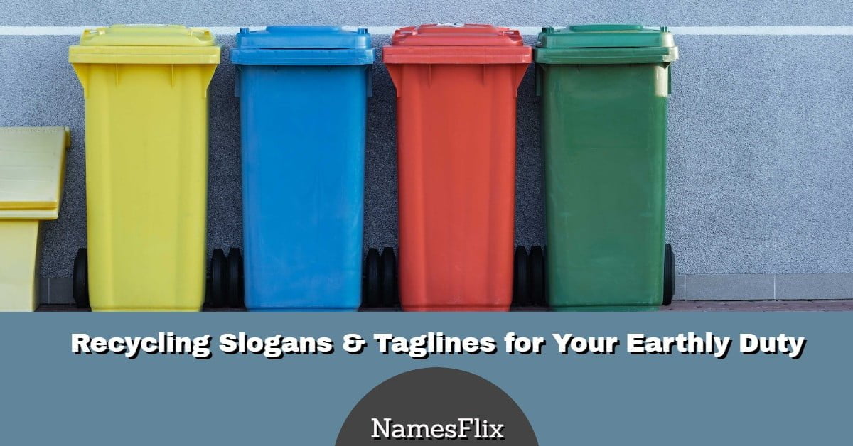 520+ Recycling Slogans & Taglines for Your Earthly Duty