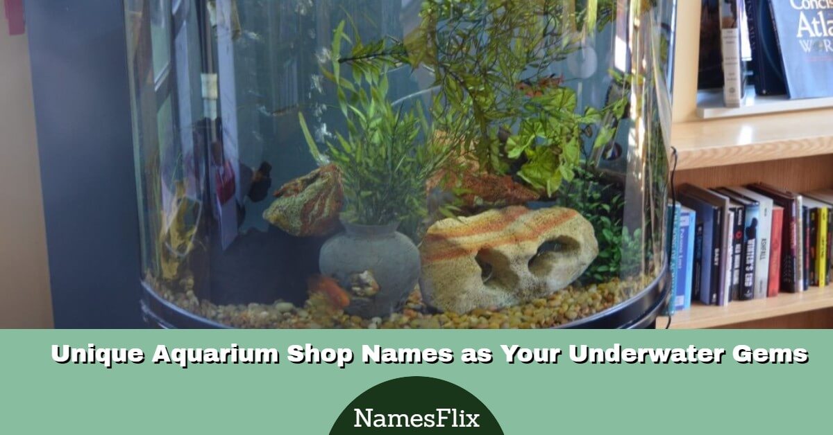 1000+ Unique Aquarium Shop Names as Your Underwater Gems