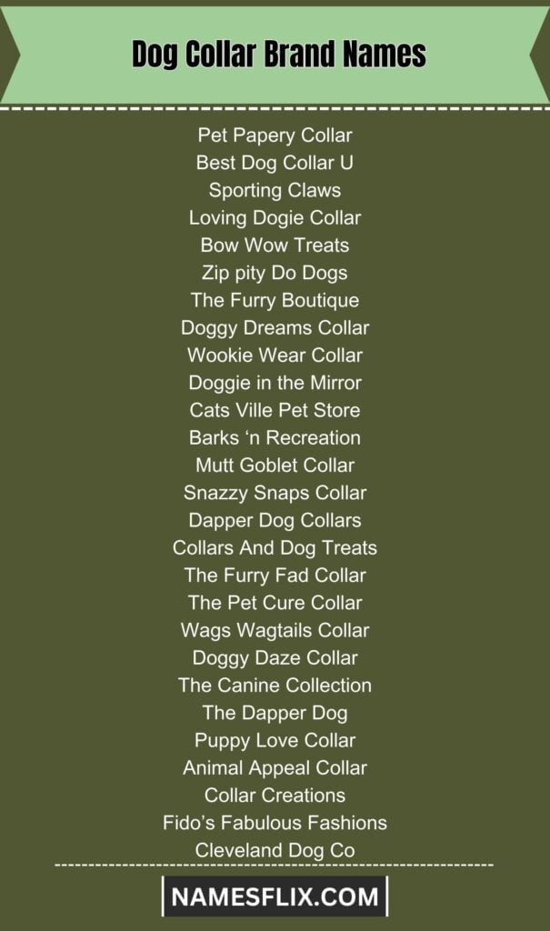 Dog Collar Brand Names