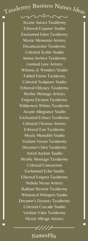 Taxidermy Business Names Ideas