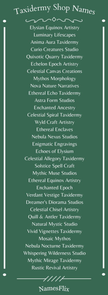 Taxidermy Shop Names