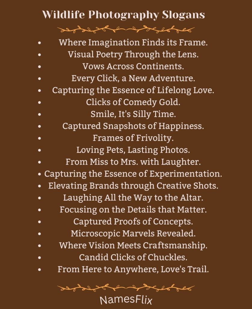Wildlife Photography Slogans