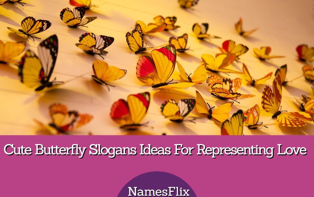 500+ Cute Butterfly Slogans Ideas For Representing Love