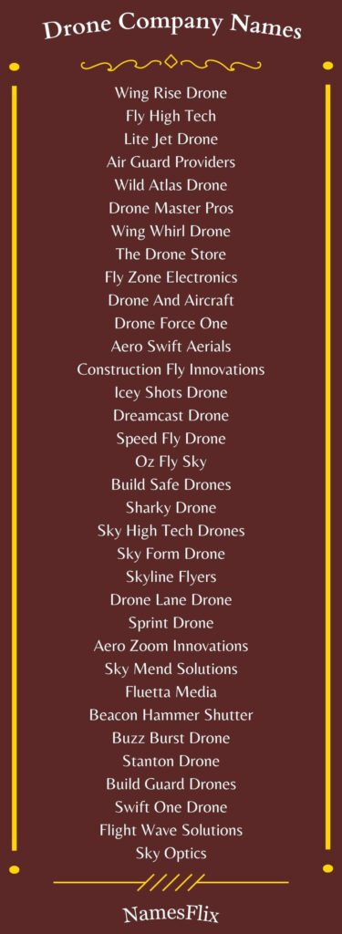 Drone Company Names