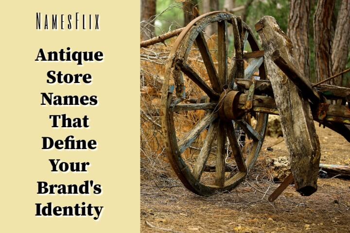900+Antique Store Names That Define Your Brand’s Identity