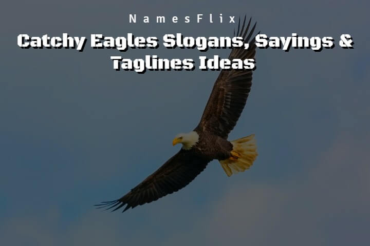 625+ Catchy Eagles Slogans, Sayings & Taglines Ideas