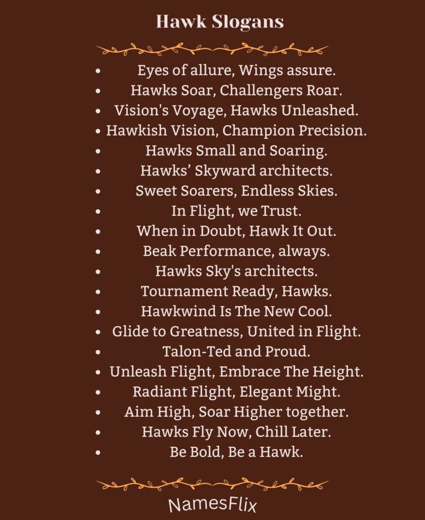 Hawk Slogans