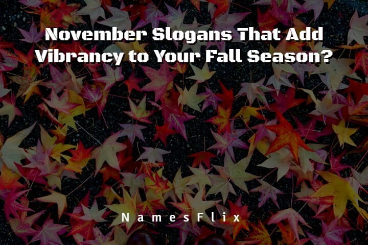 730+ November Slogans That Add Vibrancy to Your Fall Season