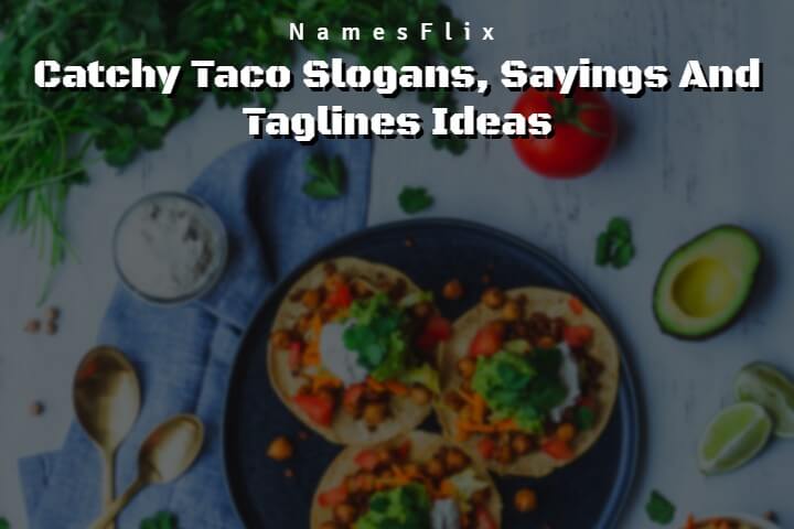 685+ Catchy Taco Slogans, Sayings And Taglines Ideas