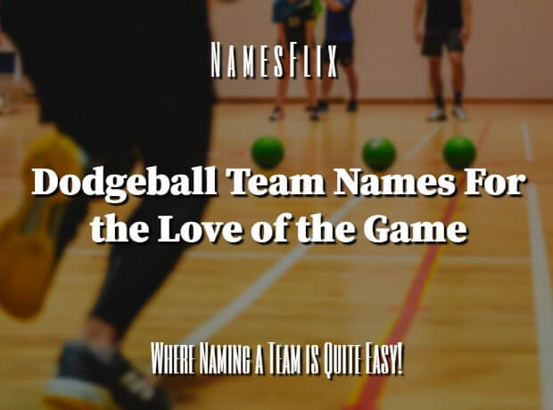700+ Dodgeball Team Names Ideas for the Love of the Game