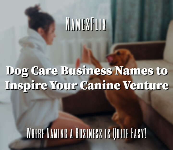 850+ Dog Care Business Names to Inspire Your Canine Venture