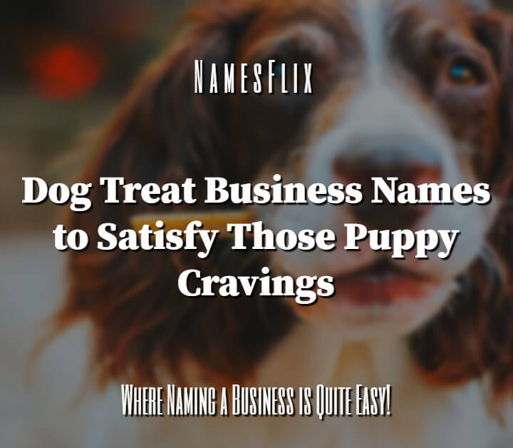 1000+ Dog Treat Business Names to Satisfy Your Puppy’s Cravings