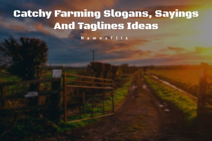 500+ Catchy Farming Slogans, Sayings And Taglines Ideas