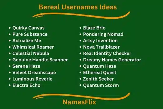 Bereal Usernames Ideas