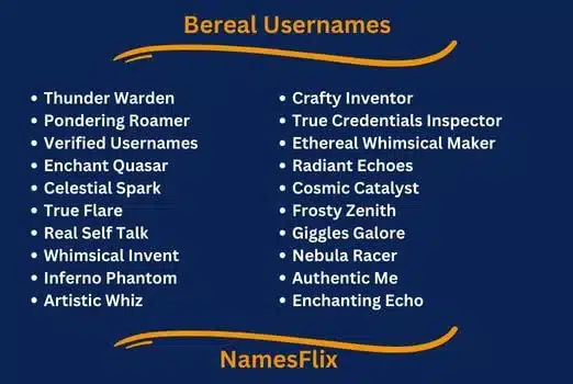 Bereal Usernames