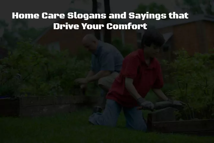 545+ Home Care Slogans and Sayings that Drive Your Comfort