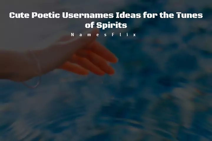 810+ Cute Poetic Usernames Ideas for the Tunes of Spirits