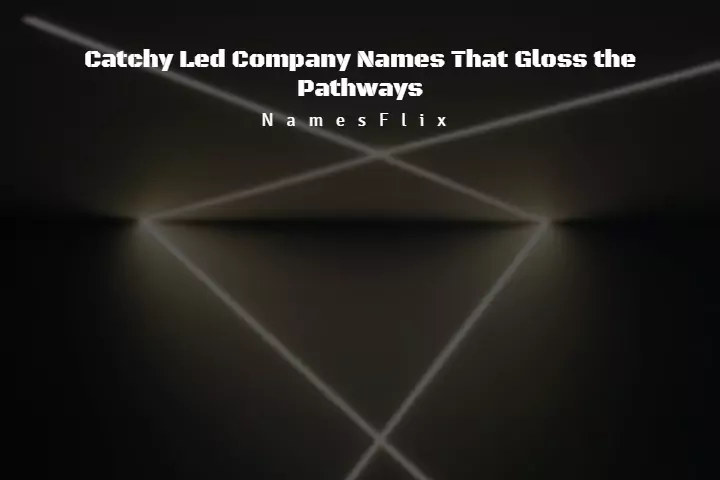 800+ Catchy Led Company Names That Gloss the Pathways